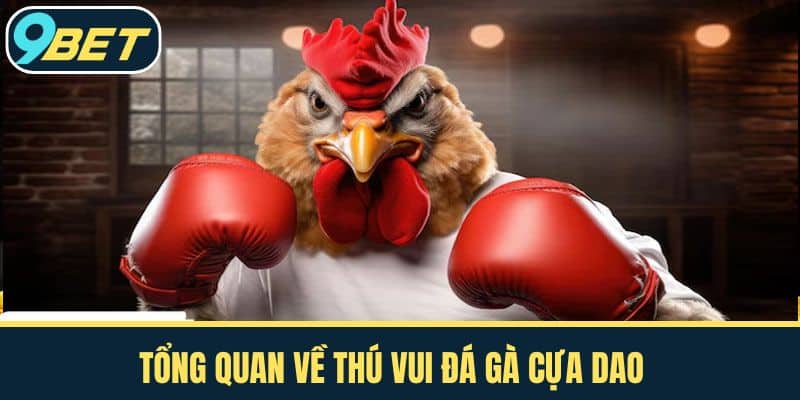 Tổng quan về thú vui Đá gà cựa dao