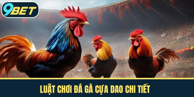 Luật chơi đá gà cựa dao Chi tiết