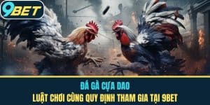 Đá Gà Cựa Dao - Luật Chơi Cùng Quy Định Tham Gia Tại 9BET