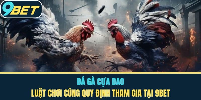 Đá Gà Cựa Dao - Luật Chơi Cùng Quy Định Tham Gia Tại 9BET