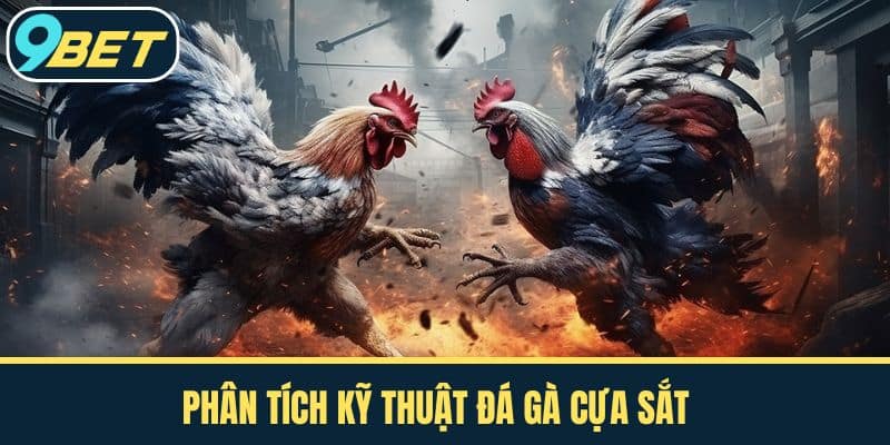 Phân tích kỹ thuật đá gà cựa sắt