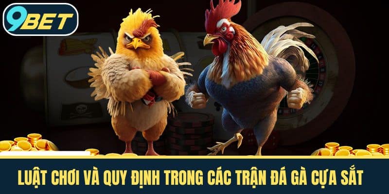 Luật chơi và quy định trong các trận đá gà cựa sắt