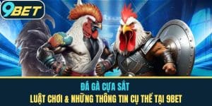 Đá Gà Cựa Sắt – Luật Chơi & Những Thông Tin Cụ Thể Tại 9bet