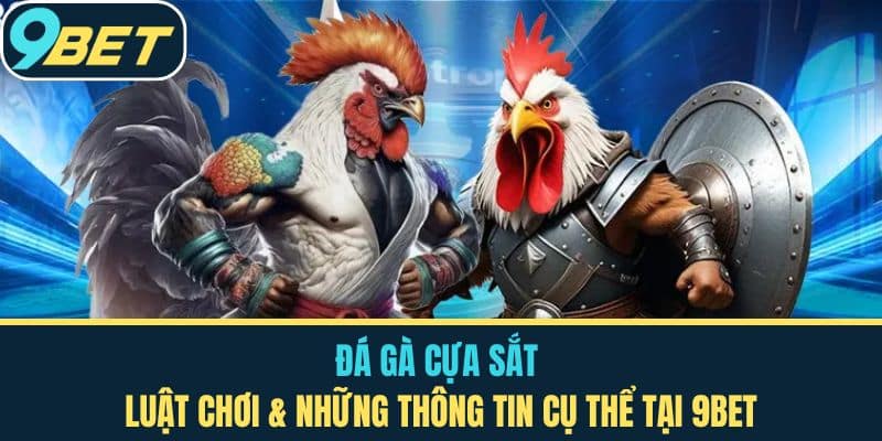 Đá Gà Cựa Sắt – Luật Chơi & Những Thông Tin Cụ Thể Tại 9bet