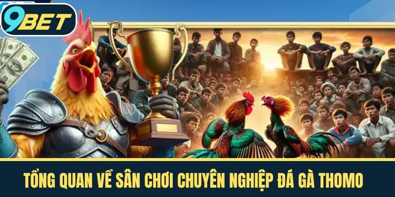 Tổng Quan Về Sân Chơi Chuyên Nghiệp Đá Gà Thomo