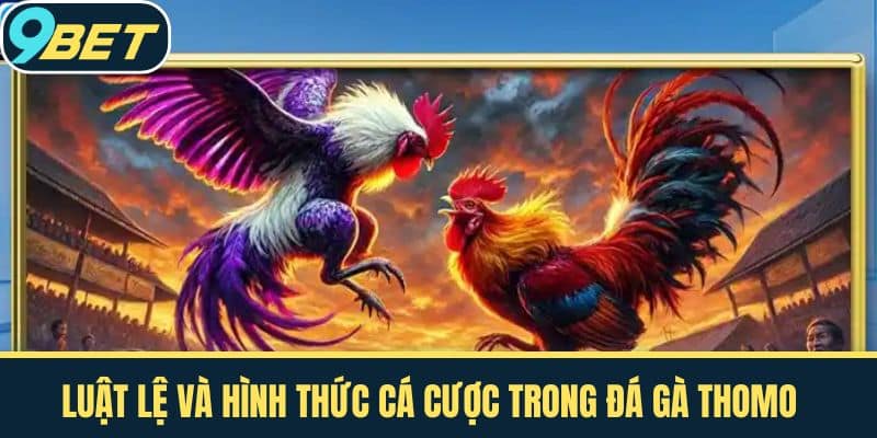 Luật Lệ Và Hình Thức Cá Cược Trong Đá Gà Thomo