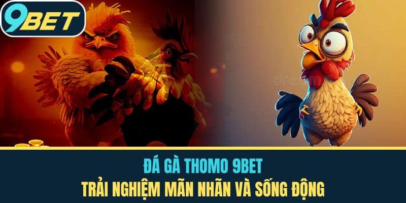 Đá Gà Thomo 9BET - Trải Nghiệm Mãn Nhãn Và Sống Động